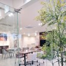 세라젬 셀루닉하우스 강북점 이미지