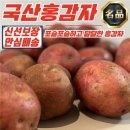 감자