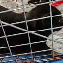 대소동물병원 이미지