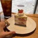 시그니처 자몽케이크가 맛있는 경복궁 서촌카페 마농트로포 😋