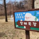 주미목장 이미지
