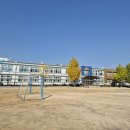 청하초등학교 이미지