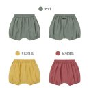 코니 벌룬 블루머 내돈내산 후기