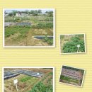 버들농장 이미지