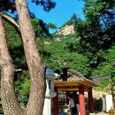 천년공인중개사사무소 이미지