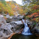 제 517차 강원도 오대산 특별산행(20.10.16. 23시 출발) 이미지