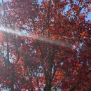 원투 피시 | 삼척 초당저수지 원투·루어 낚시 캐스팅 연습 후기