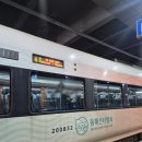 묵호 | 동해산타열차 바다뷰 직관 가족석 예매 묵호여행 탑승 후기