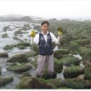 소화사도
