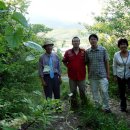 로얄파크장 이미지