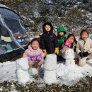 성수산 왕의숲 국민여가캠핑장 이미지