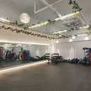 다비드 핏 이미지