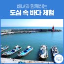 해녀와 함께하는 도심 속 바다 체험: 울산광역시 주전마을
