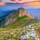 로벤의원 이미지