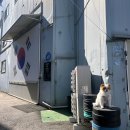 안양 크로스핏 후기 - 크로스핏힘