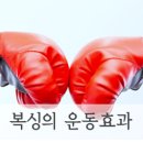 스톤복싱 이미지