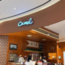 (주)신세계백화점 센텀시티몰 | 카멜커피 해운대 신세계 백화점 센텀시티몰 커피 맛집 웨이팅