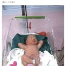 신기하게 잘 맞는 색채 심리 테스트 이미지