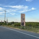 당구돌이 | [ 경북 경산 압량 현지인도 인정한 돌짜장 맛집 ] 경산 돌짜장 재방문 후기