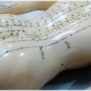 몸이편안한의원 이미지