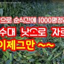 기용축산 네이버블로그