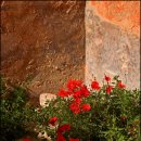 Near Monet`s House, Giverny, France / Philip Dawson 이미지