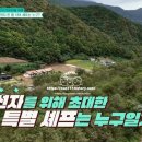 정선통나무펜션 네이버블로그