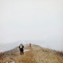 고려왕릉가는길 이미지