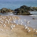 동해사슴목장 이미지