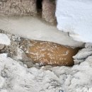 가산주유소 이미지