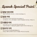 아피커피 네이버블로그