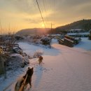 플레이하운드 이미지