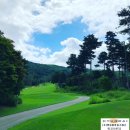 여주-0700 이미지