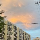 목화당구장 이미지