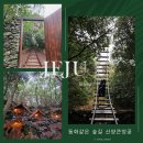 [공지] 제주 서쪽 가볼만한곳 - 동화같은 겨울 숲길 산양큰엉곶 곶자왈