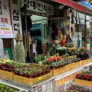 디씨마트(DC마트) 이미지