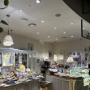 하이애니멀샵 이미지