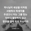 요한복음 3장 16절 이미지