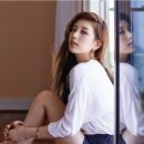 수지맞다 이미지