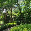 엘지온공인중개사사무소 이미지