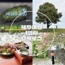 장미경로당 | [제주] 비소식이 있었지만 변화무쌍했던 제주여행 첫째날 프롤로그