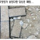 알트샵