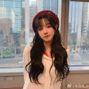 우기차니 이미지