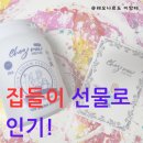 셰모아