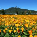 퇴계원2지구 이미지