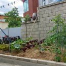 강릉홍제 공인중개사사무소 이미지