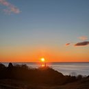 오오타야 | 2025 北海道 여행기 4 - 호텔 이즈미, 오오타야, 삿포로 포켓몬센터, 오타루 당일치기, 타이가 카레