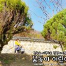 큰나무영아전담어린이집 이미지