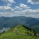 민둥산로 입구 티스토리