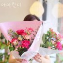 아마란디 이미지